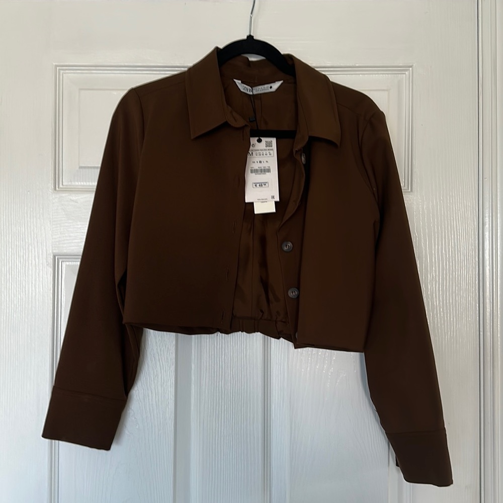 Zara Brown crop button top.